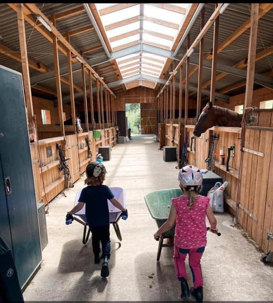 Ferienwohnung Beim Pferdehof Neuenstein  Extérieur photo